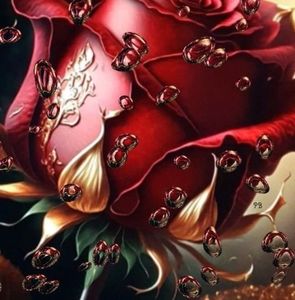 Meet your Posher, Lynn